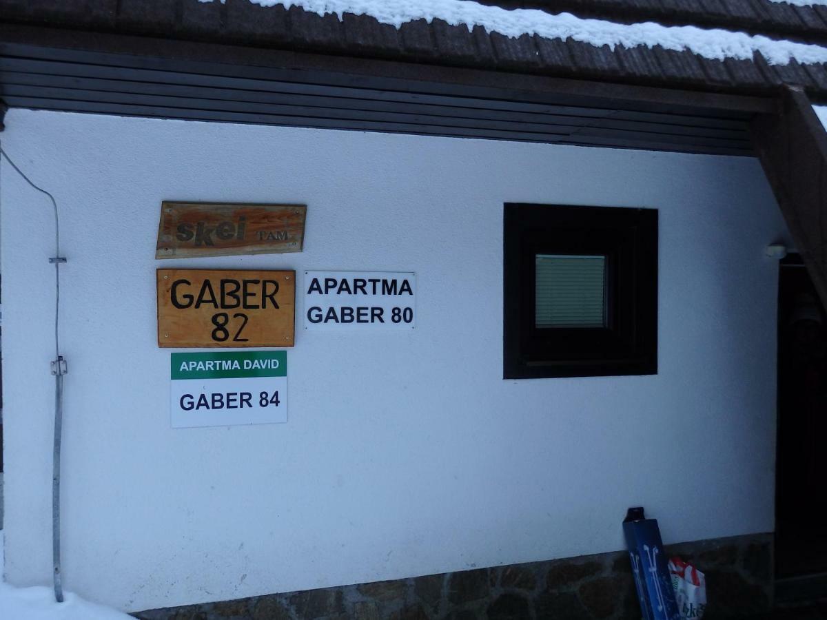 Apartma Gaber 80 Zreče Dış mekan fotoğraf